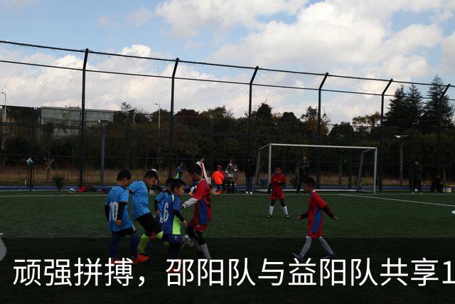 顽强拼搏，邵阳队与益阳队共享1:1平局的成长之路